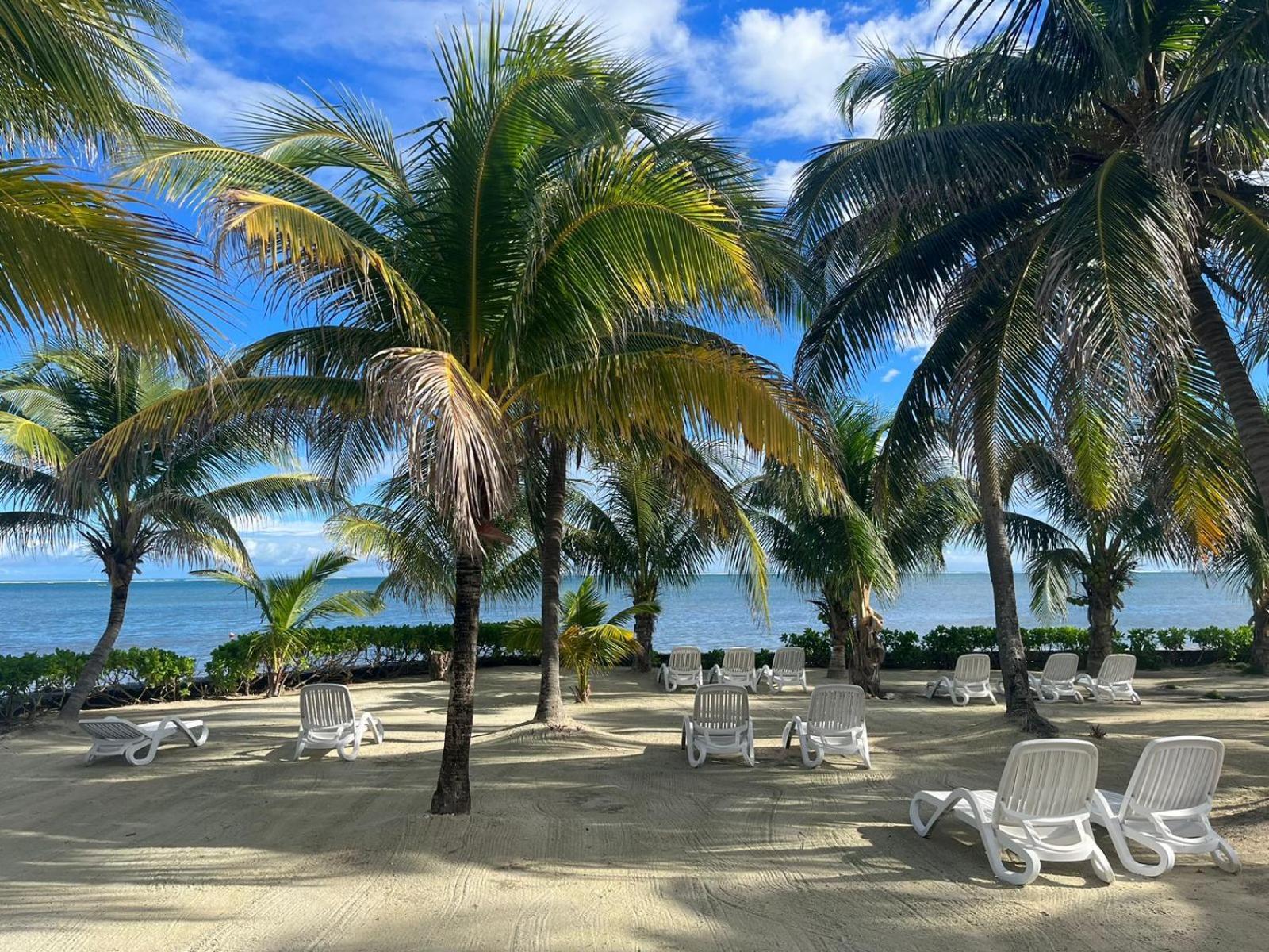 Captain Morgan'S Retreat ซานเปโดร ภายนอก รูปภาพ